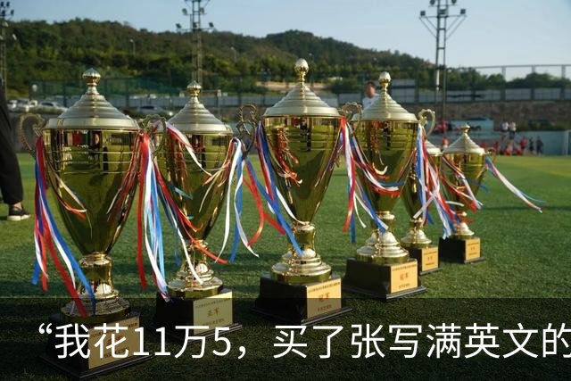 “我花11万5，买了张写满英文的废纸”，一节课没上的乌克兰硕士，认证却卡住了