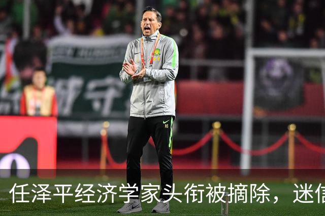 任泽平经济学家头衔被摘除，迷信任何人都是要被割韭菜的