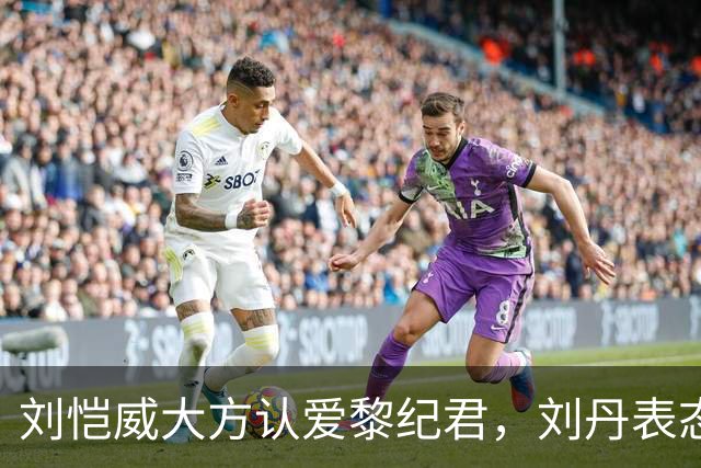 刘恺威大方认爱黎纪君，刘丹表态认可，这段恋情能走长远吗？