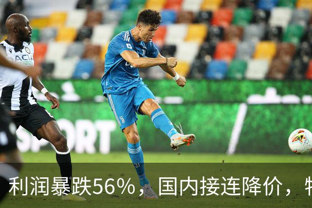 利润暴跌56％，国内接连降价，特斯拉的中国智驾何时兑现？