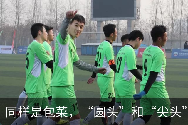 同样是包菜，“圆头”和“尖头”的区别很大，知道后别再乱买