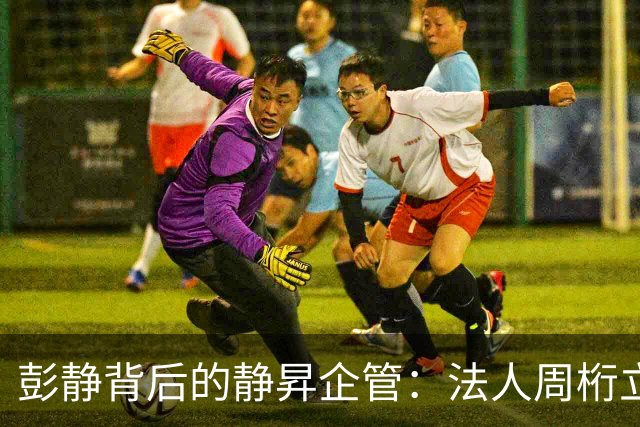 彭静背后的静昇企管：法人周桁立，只是一个 “前台傀儡”？
