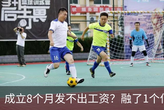 成立8个月发不出工资？融了1个亿的机器人公司，把行业遮羞布掀了