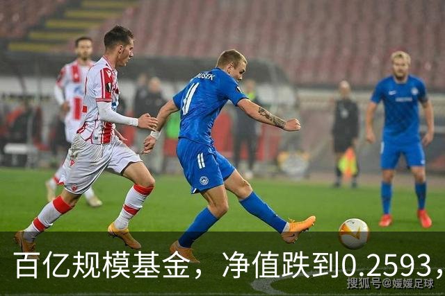 百亿规模基金，净值跌到0.2593，暴跌74%，亏得基民都不敢看账户