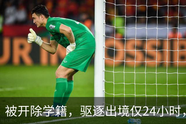 被开除学籍，驱逐出境仅24小时，陈某再迎三大"噩耗" 个个戳他心