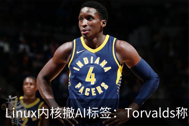Linux内核撤AI标签：Torvalds称禁用AI愚蠢